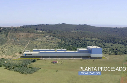 Proyecto de la mina de litio