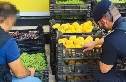 Inspección de fruta robada