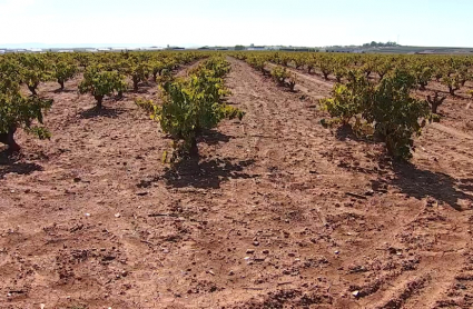 Limitaciones en el uso de agua en Tierra de Barros
