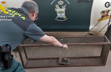 Operación de la Guardia Civil