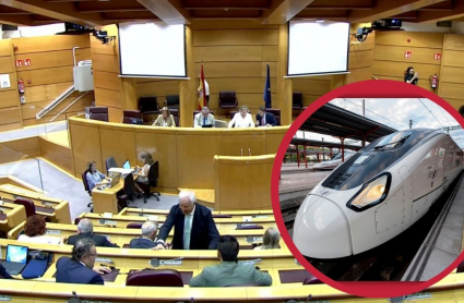 El Senado debate sobre el AVE en Extremadura