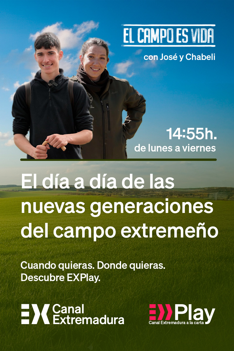 Publicidad